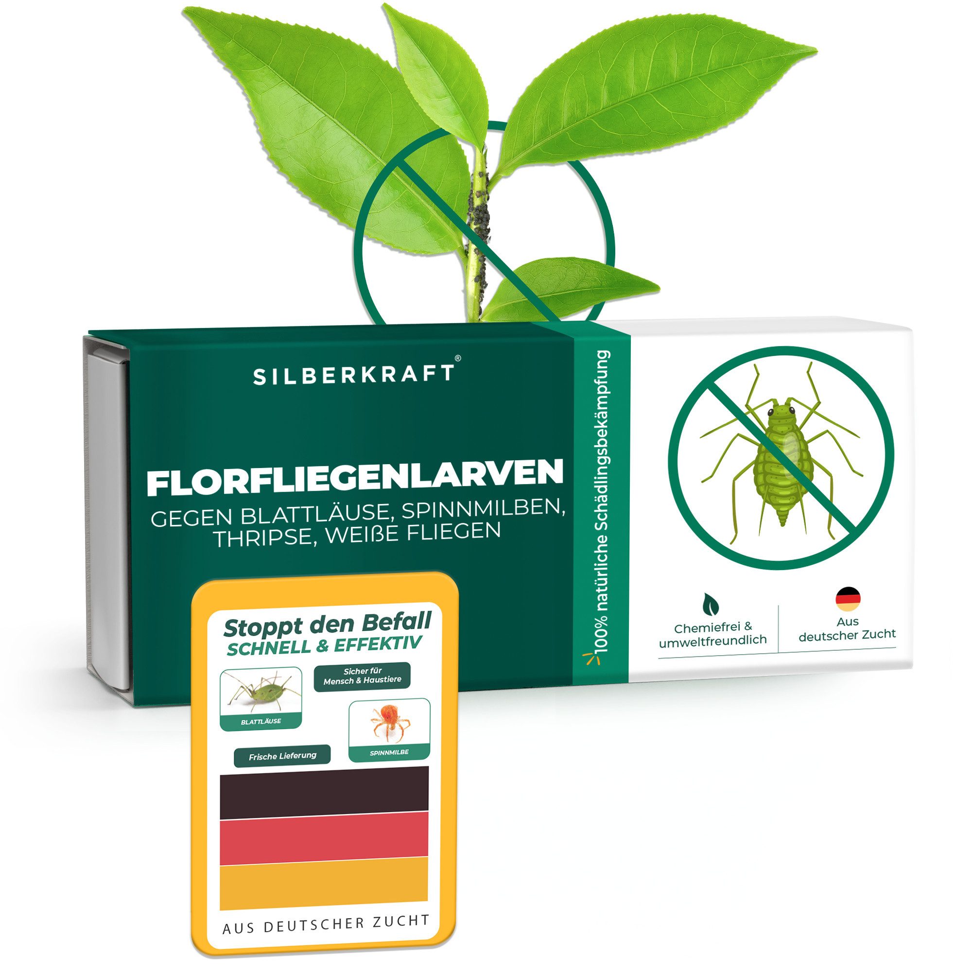 Insektenvernichter Florfliegenlarven gegen Blattläuse, Thripse, Schmierläuse & Co