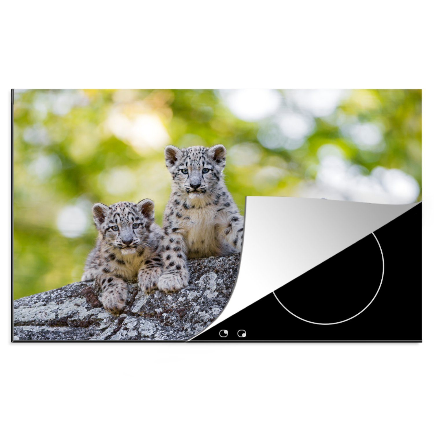 MuchoWow Herdblende-/Abdeckplatte Leopard - Jungtiere - Steine, Vinyl, (1 tlg), 81x52 cm, Induktionskochfeld Schutz für die küche, Ceranfeldabdeckung