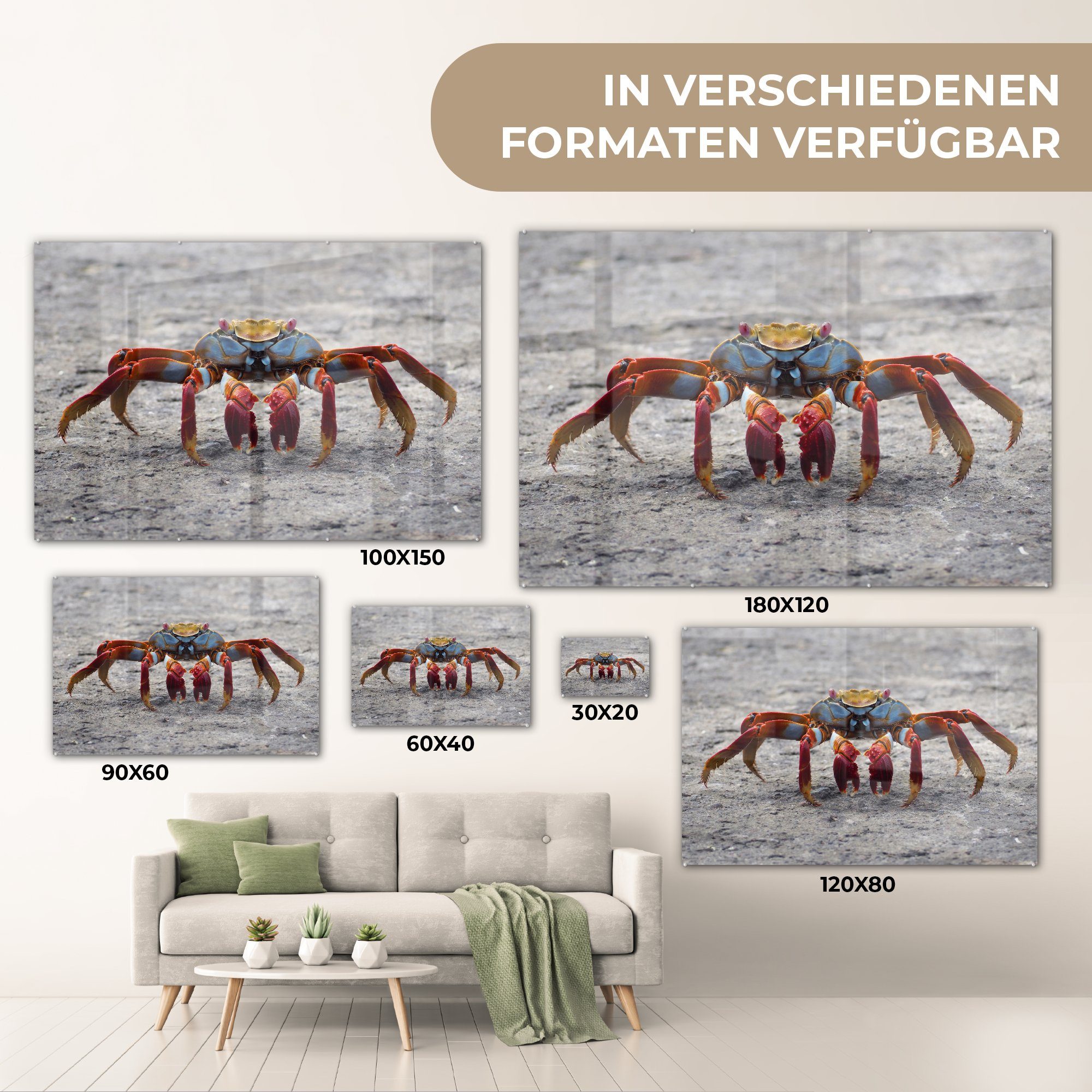 MuchoWow Acrylglasbild - St), & Schlafzimmer Acrylglasbilder Wohnzimmer - Krabbe, Tiere (1 Strand