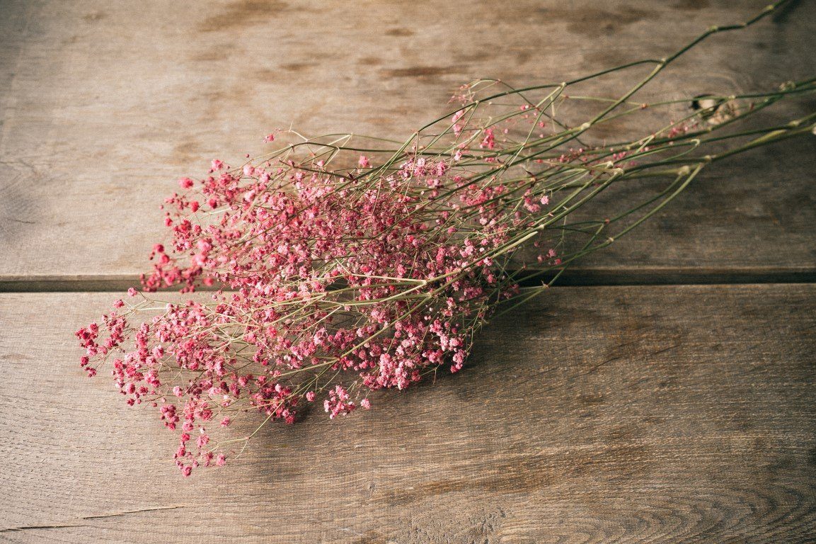 Trockenblume Bund ca. 50-60cm Rot getrocknet im Schleierkraut NaDeco Gypsophila paniculata,