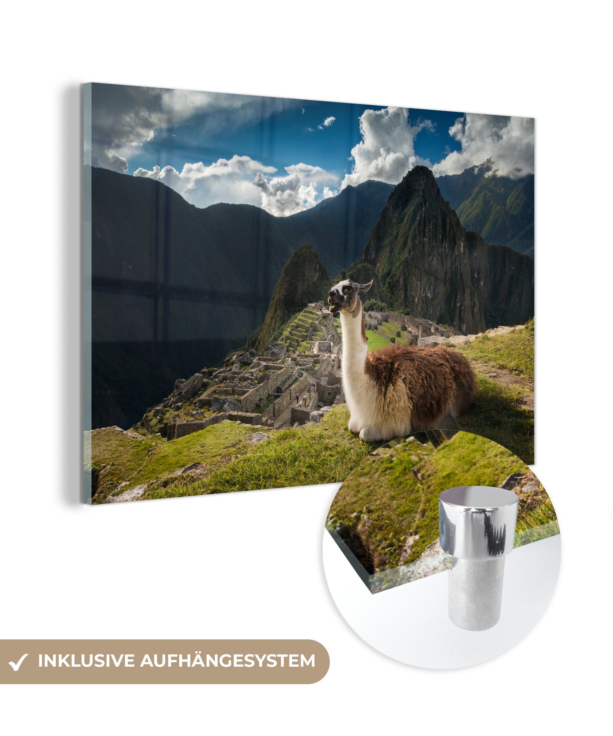 MuchoWow Acrylglasbild Alpaka - Machu Picchu - Felsen, (1 St), Acrylglasbilder Wohnzimmer & Schlafzimmer