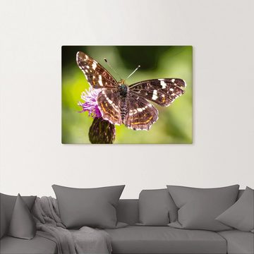 Artland Leinwandbild Sommer, Schmetterlinge (1 St), auf Keilrahmen gespannt