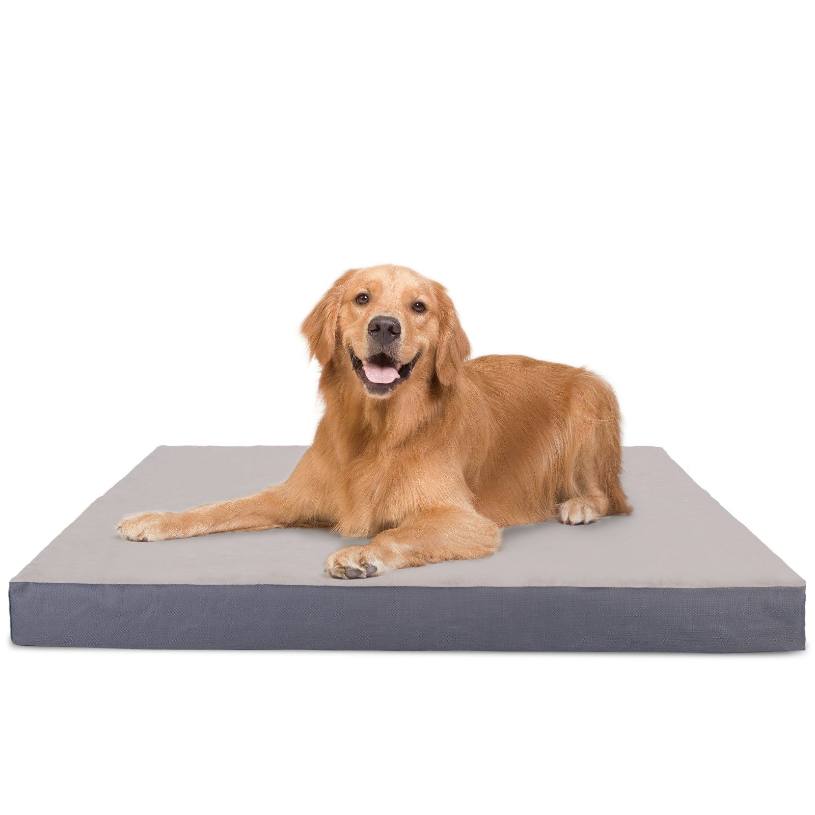 Hundematte Hundebett für Kleine Hunde Orthopädisches Hundematte