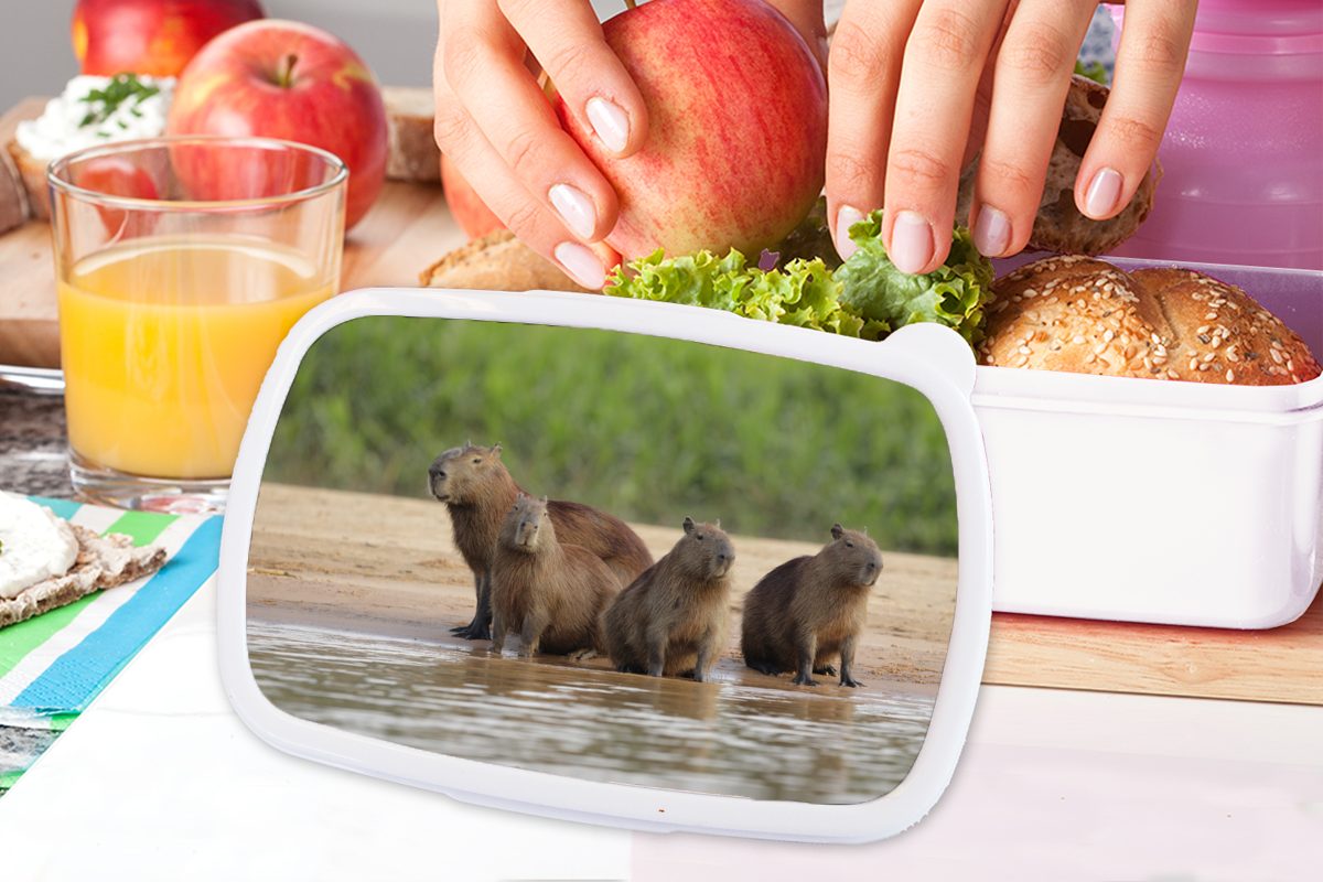 (2-tlg), und Wasser, Kunststoff, Kinder Lunchbox Jungs am Brotdose, und Mädchen für Capibara Erwachsene, Familie Brotbox für weiß MuchoWow