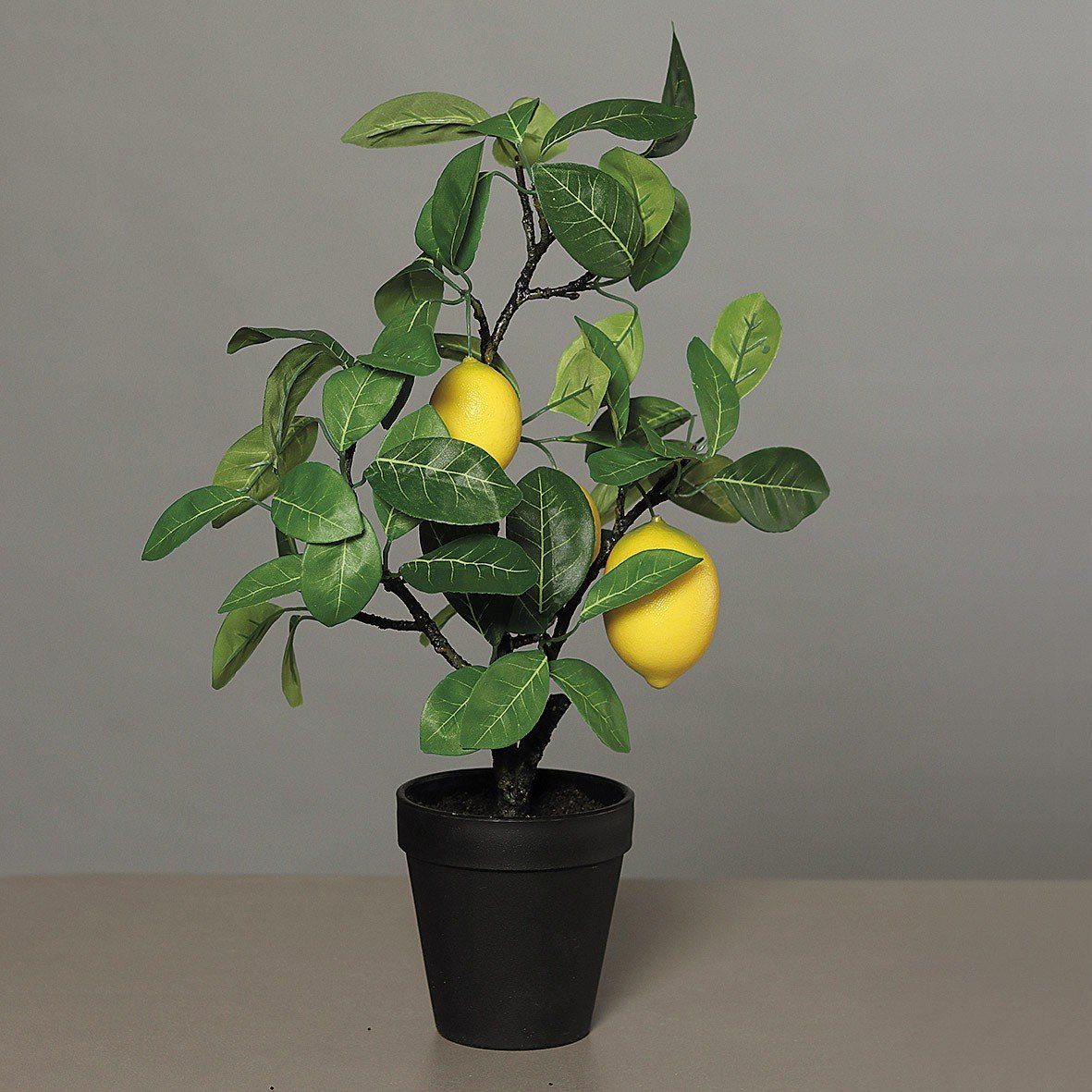 Kunstpflanze, DPI, Höhe 48 cm, Grün B:35cm H:48cm Kunststoff | Kunstpflanzen