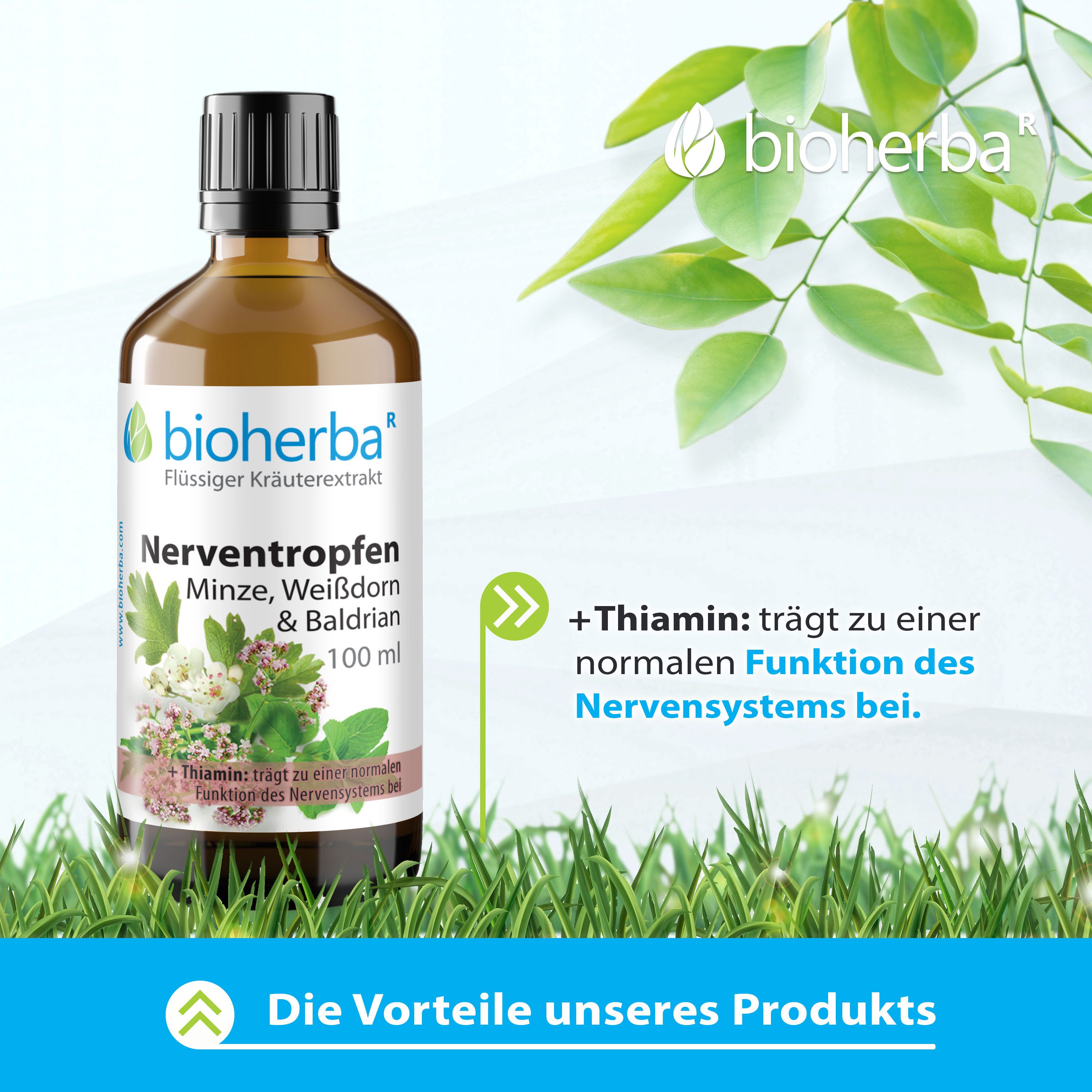 BIOHERBA R Bioherba Nerventropfen Minze Weißdorn & Baldrian Tinktur 100 ml Glasflasche, 1 er