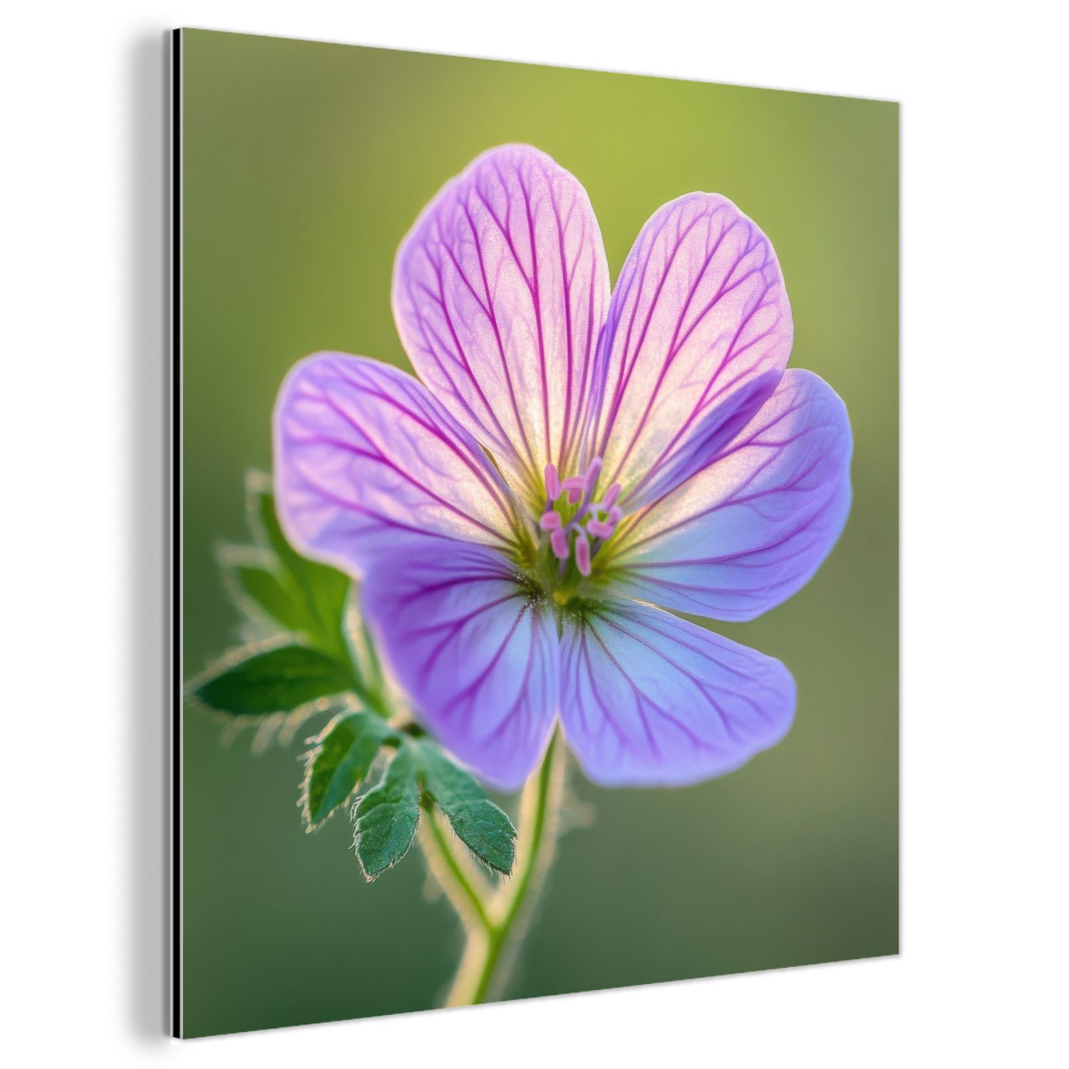 MuchoWow Metallbild Blume - Nahaufnahme - günstig online kaufen