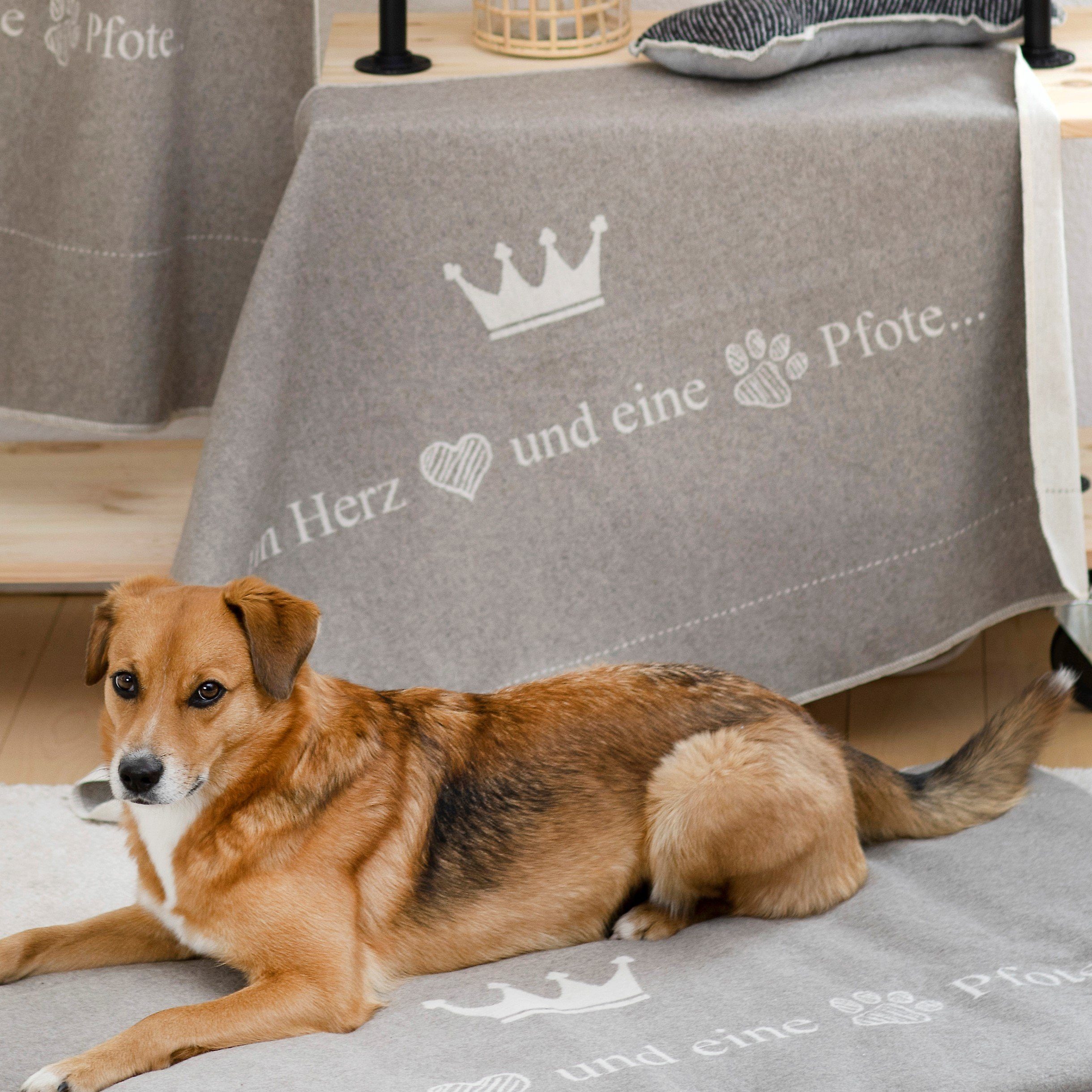DAVID FUSSENEGGER Tierdecke Hundedecke 'ein Herz und eine Pfote' günstig online kaufen