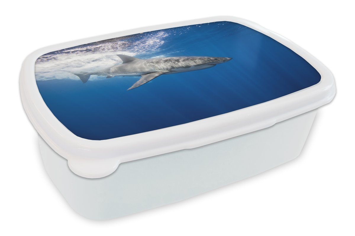 MuchoWow Lunchbox Hai - Meer - Wasser, Kunststoff, (2-tlg), Brotbox für Kinder und Erwachsene, Brotdose, für Jungs und Mädchen weiß