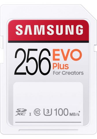 Samsung »EVO Plus 256GB SDXC UHS-I U3« Speiche...