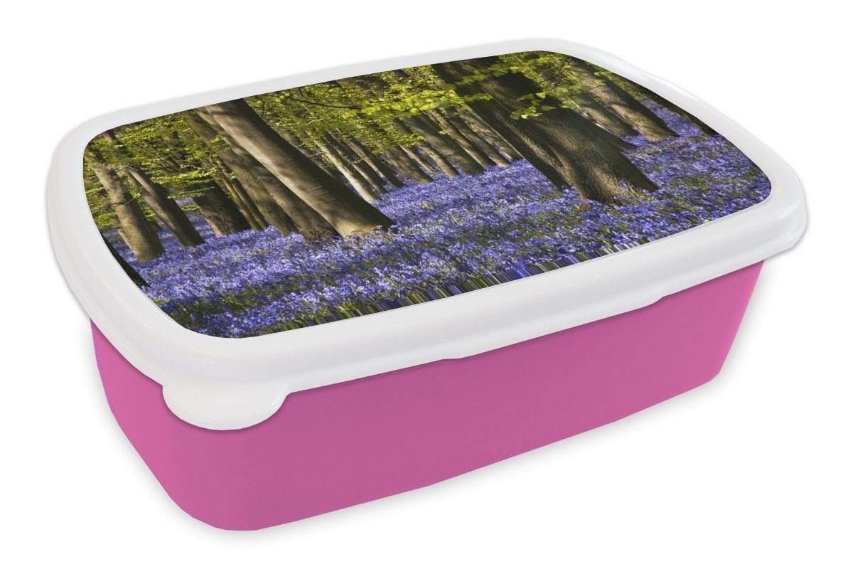 den Sternhyazinthe, MuchoWow Zwischen Bäumen Snackbox, für rosa Kinder, Blüten liegen Mädchen, Brotdose violetten Erwachsene, die (2-tlg), Lunchbox Kunststoff, der Brotbox Kunststoff