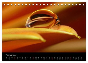 CALVENDO Wandkalender Kalender (Tischkalender 2024 DIN A5 quer), CALVENDO Monatskalender
