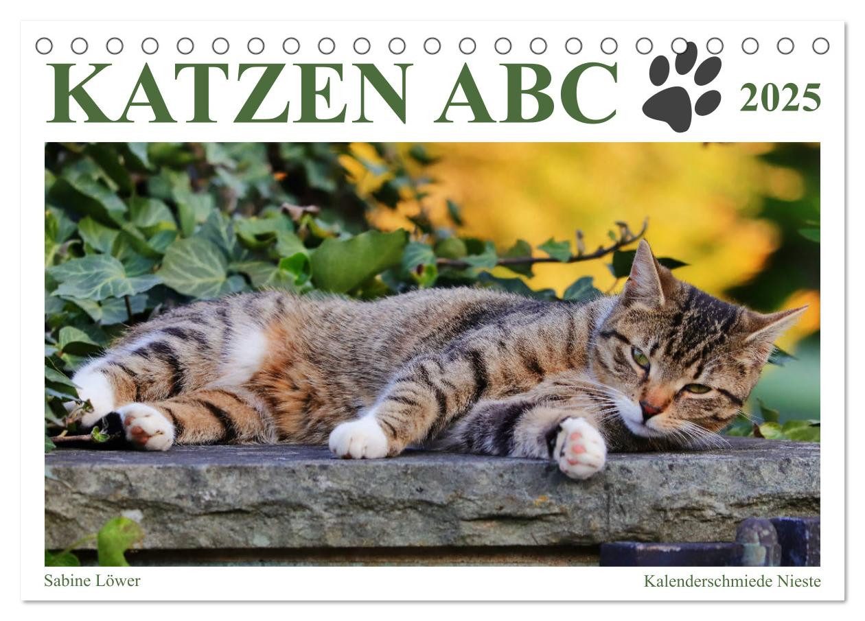 CALVENDO Wandkalender Katzen ABC (Tischkalender 2025 DIN A5 quer), CALVENDO Monatskalender