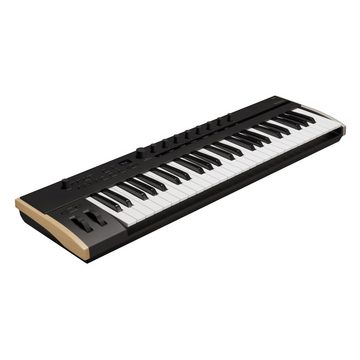 Korg Masterkeyboard (Masterkeyboards, MIDI-Keyboard 49), Keystage 49 - Master Keyboard