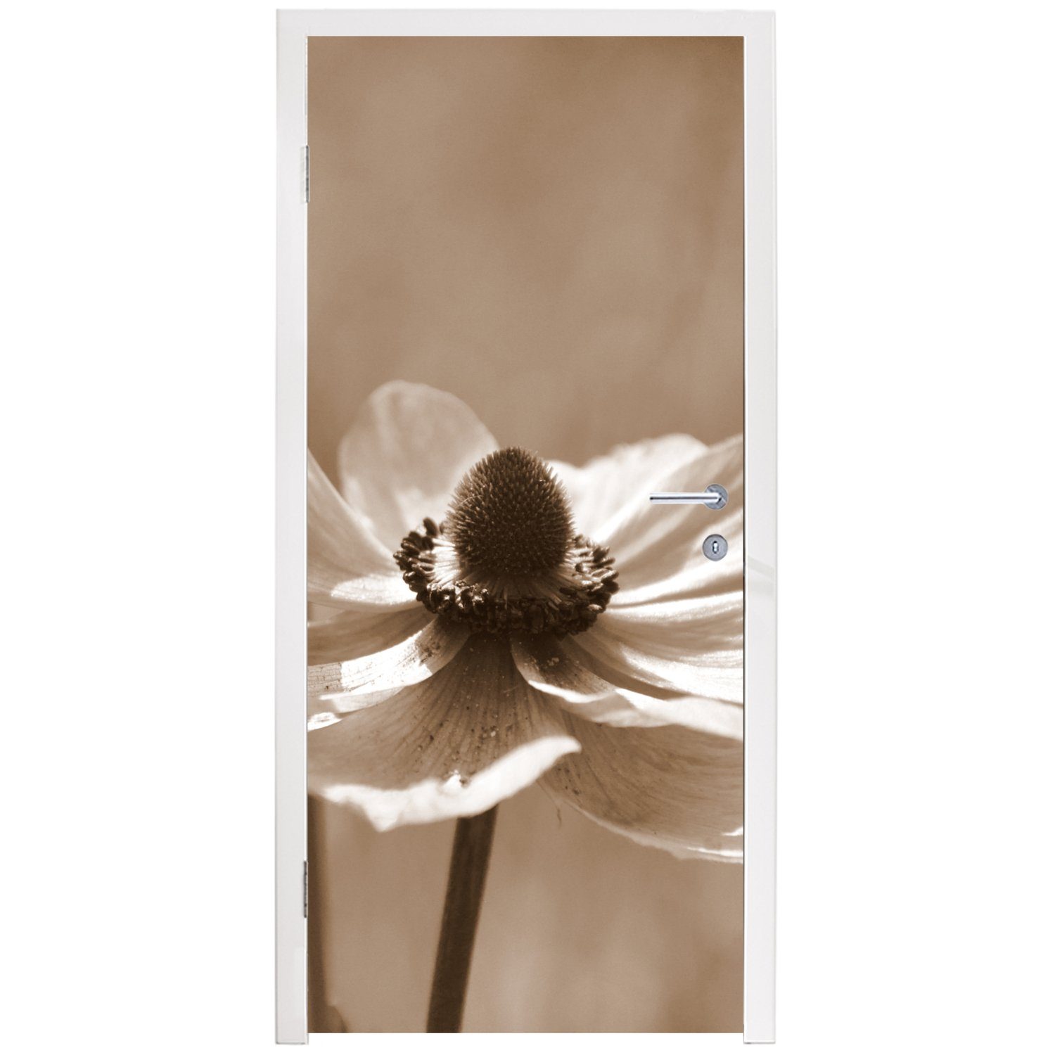Sepia-Fotodruck, St), Tür, (1 Türtapete MuchoWow Matt, der 75x205 cm Anemone Fototapete für bedruckt, Türaufkleber, Blume