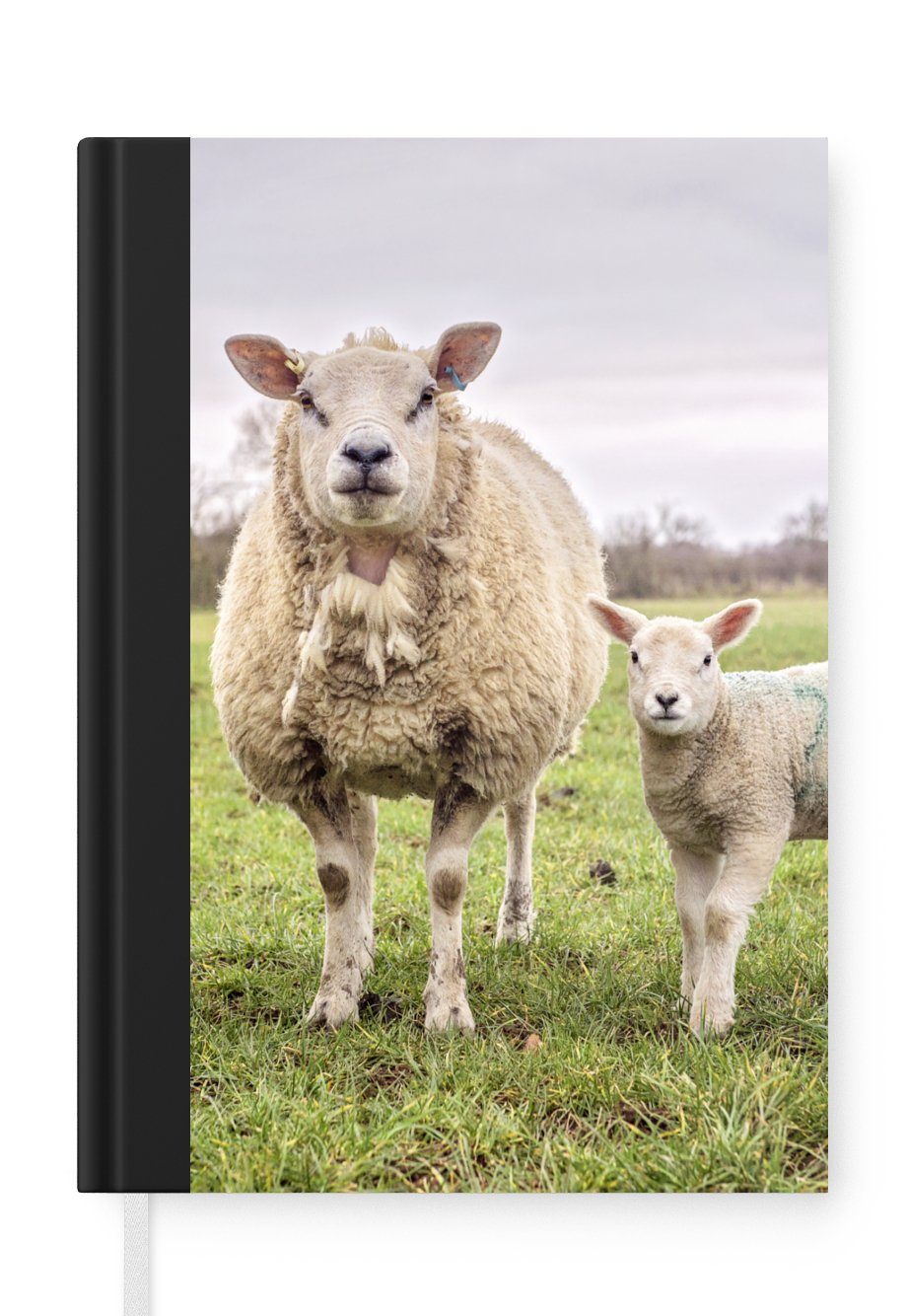 MuchoWow Notizbuch Schafe - Nutztiere - Porträt, Journal, Merkzettel, Tagebuch, Notizheft, A5, 98 Seiten, Haushaltsbuch