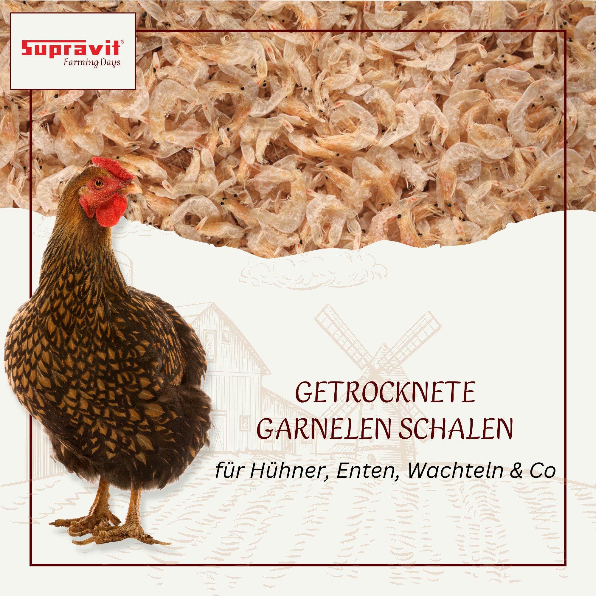 Supravit Getrocknete Garnelen für Hühner & Geflügel 1kg - Auch für Schildkröten, Ergänzungsfutter für: Nutz-/ Wildtier