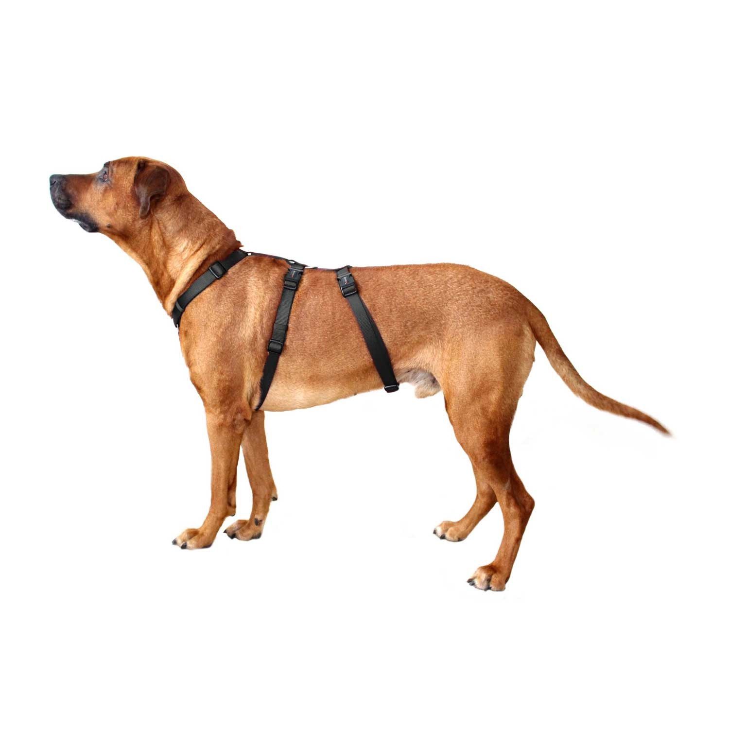 Wolters Hunde-Sicherheitsgeschirr Geschirr Professional No Escape günstig online kaufen