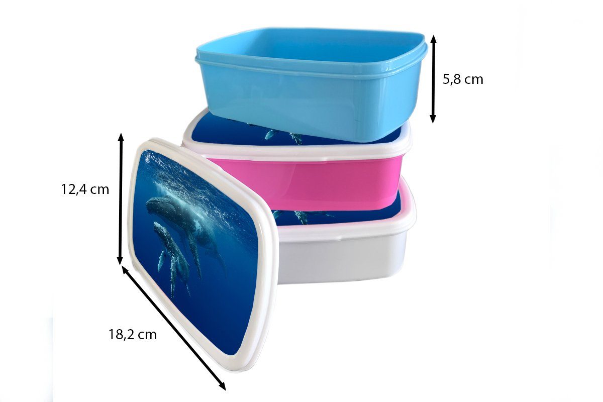 Mädchen Kunststoff, (2-tlg), Kalb, Lunchbox Buckelwal für für mit Brotdose, seinem Erwachsene, und Kinder Jungs weiß und MuchoWow Brotbox