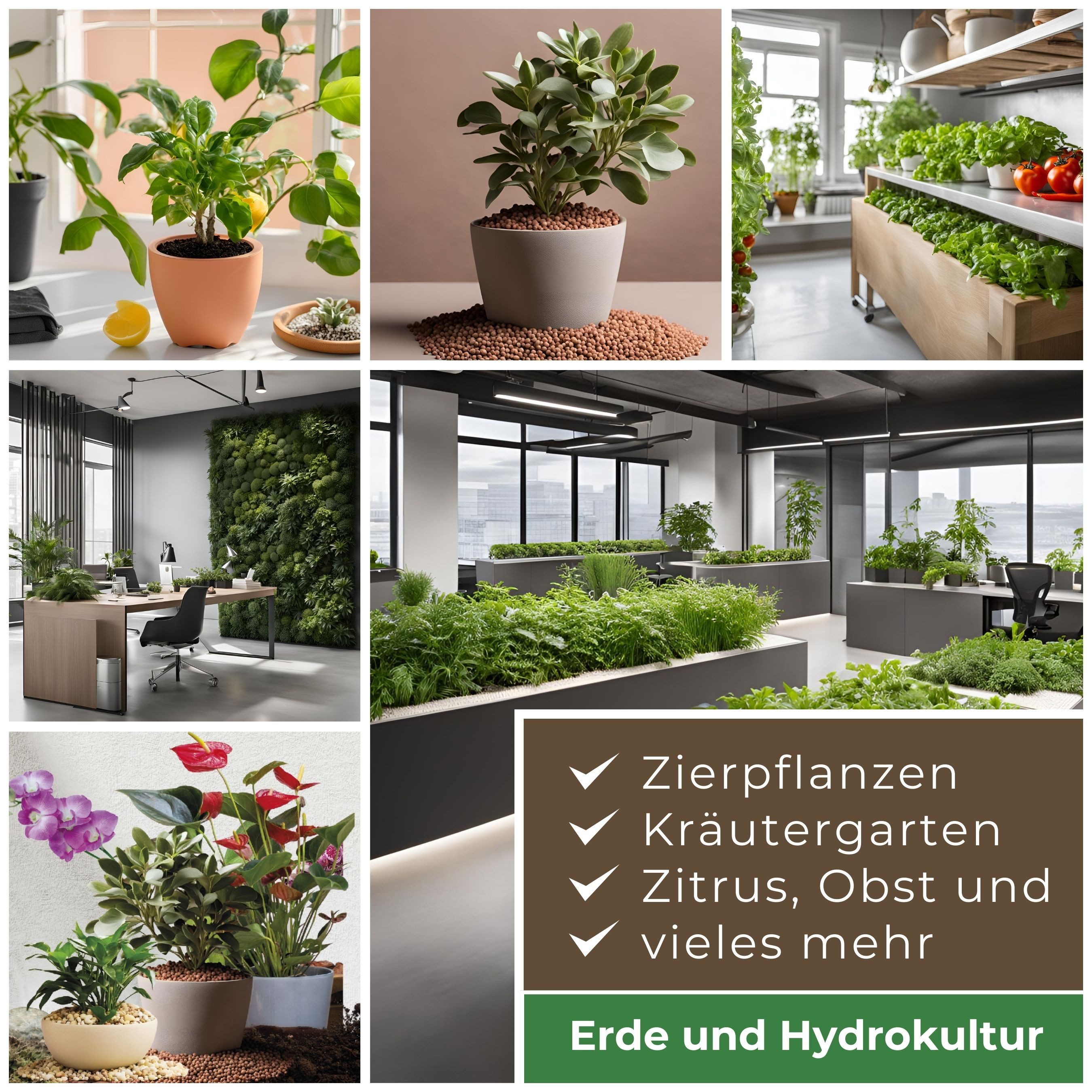 Blusana Pflanzendünger Universal Flüssigdünger NPK 6-3-6 Hydrokultur Hydroponik Erde Substrat, Universaldünger, all in one mit Spurenelementen, mineralisch, für – Bild 3 von 5