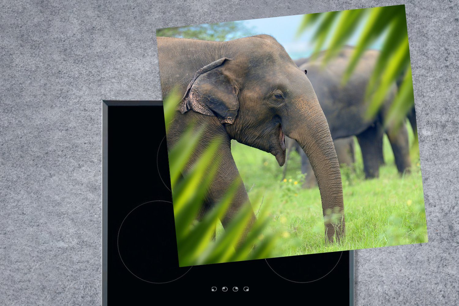 MuchoWow Herdblende-/Abdeckplatte Elefant - (1 tlg), Tiere, für Arbeitsplatte Palme cm, küche 78x78 - Ceranfeldabdeckung, Vinyl