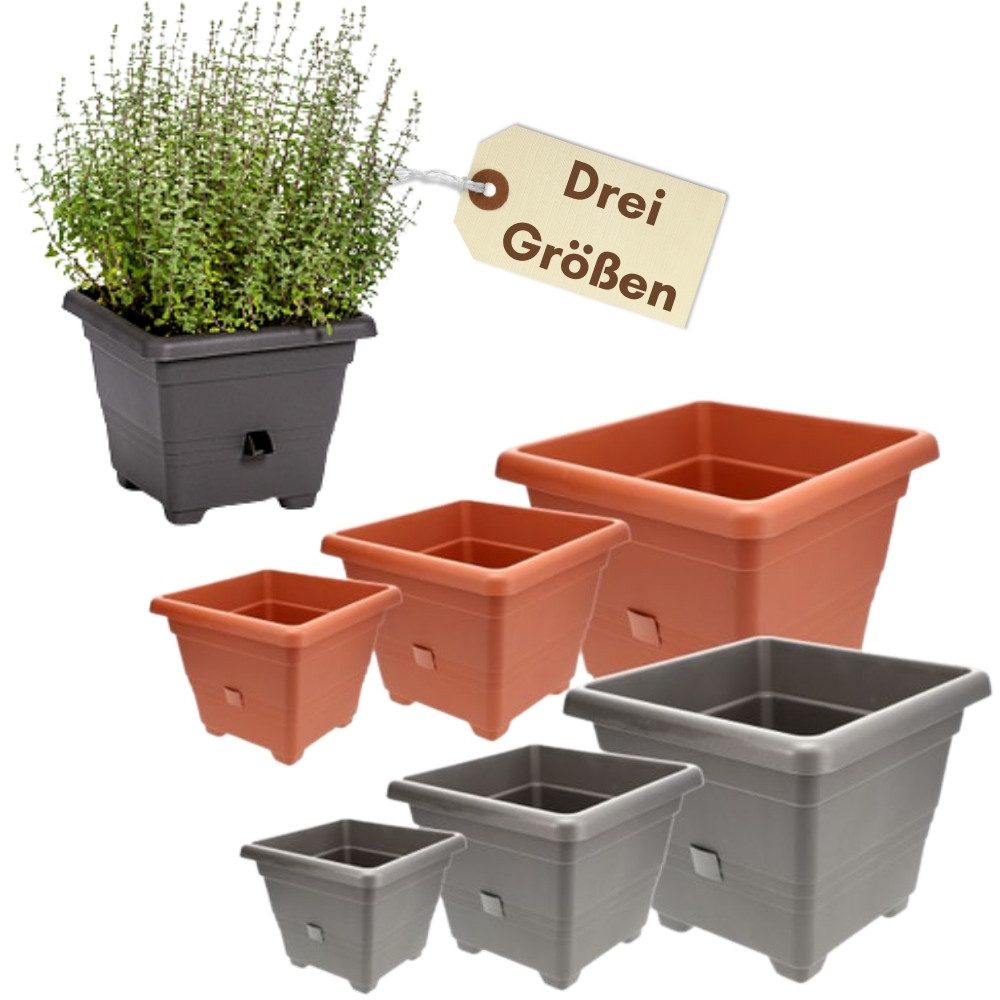 GarPet Pflanzkübel Pflanzkübel Rechteckig Groß Blumenkübel günstig online kaufen