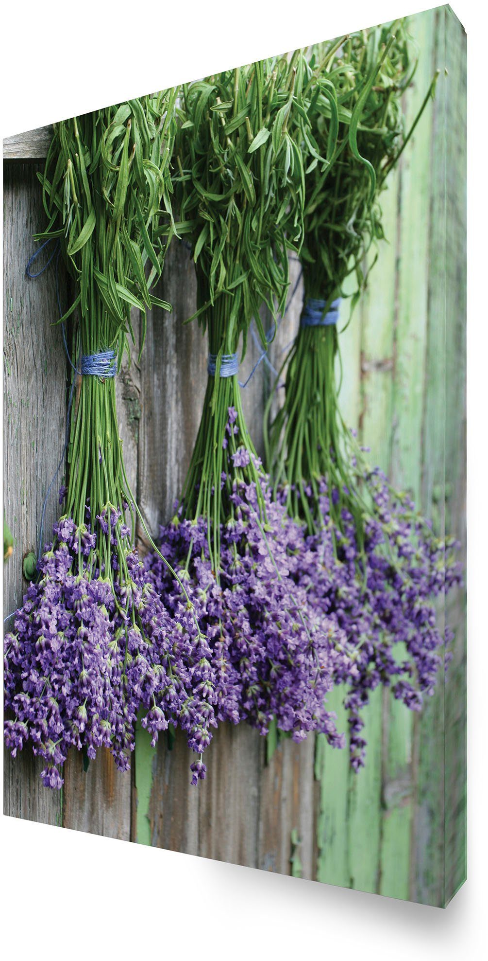 Art for the home Leinwandbild Outdoor Lavendel 50x70cm, Blumen, Romantisch (1 St), Leinwand für draußen - Lavendel - 70x50cm