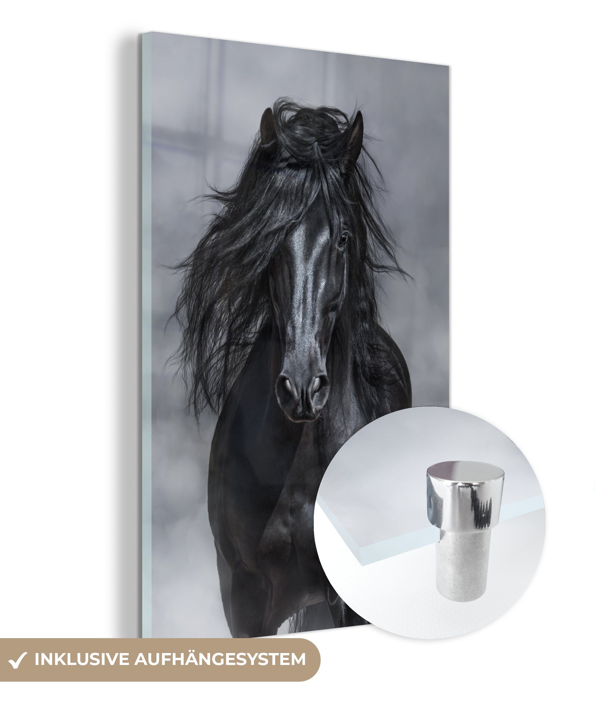 Acrylglasbild Pferd - Grau - Schwarz