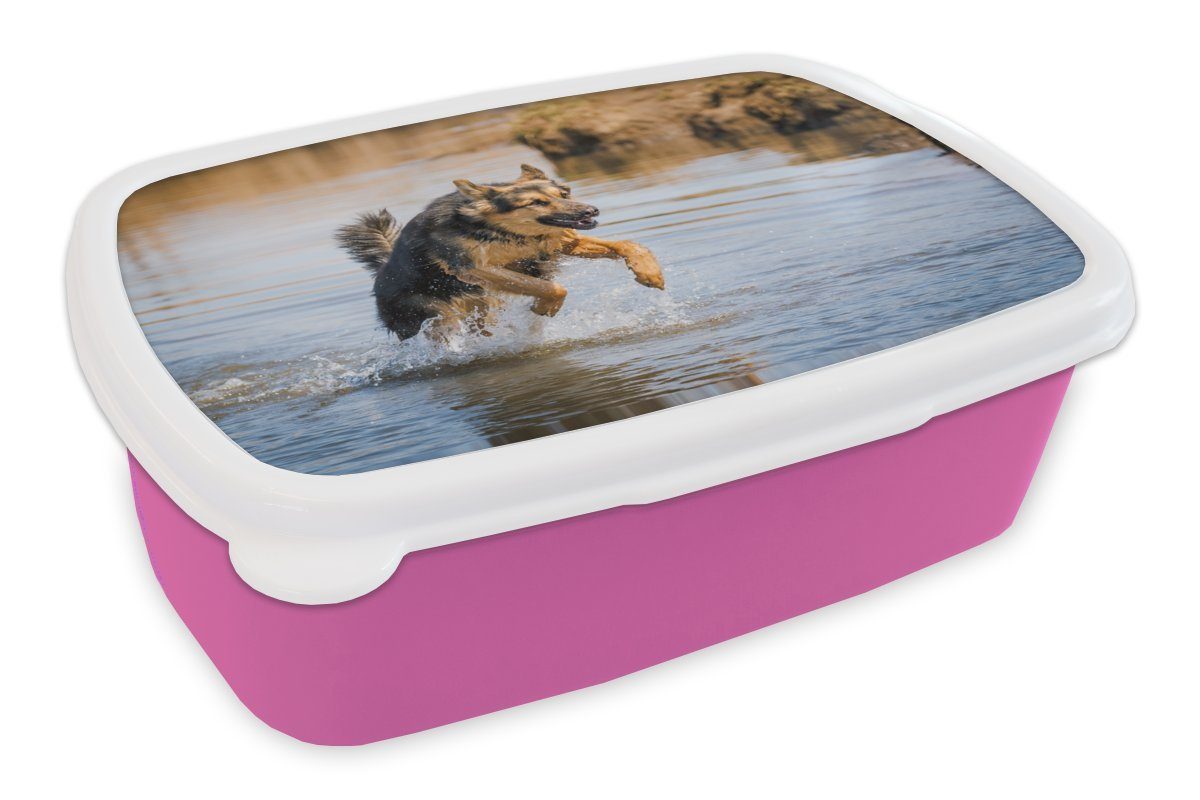 MuchoWow Lunchbox Ein Deutscher Schäferhund spielt im Wasser, Kunststoff, (2-tlg), Brotbox für Erwachsene, Brotdose Kinder, Snackbox, Mädchen, Kunststoff rosa | Lunchboxen