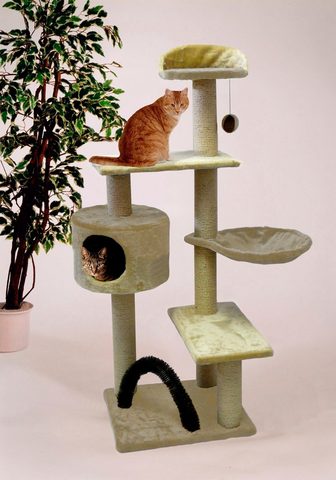 SILVIO DESIGN Точилка для ногтей коту царапание &raq...