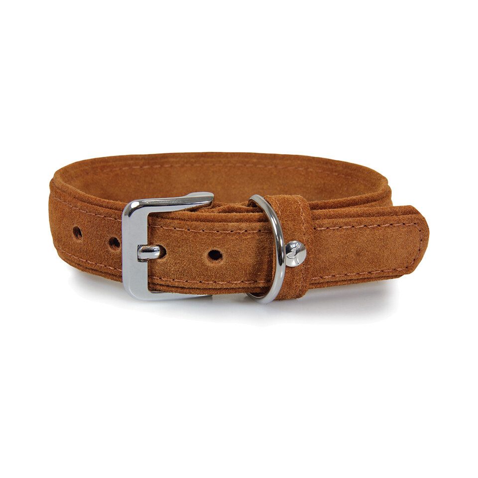 Das Lederband Hunde-Halsband Hundehalsband Toronto cognac/cognac