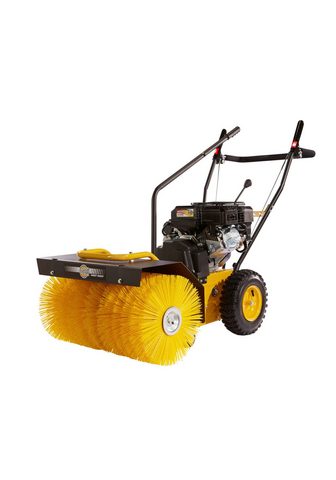 TEXAS Очиститель »Handy Sweep 650TG&la...