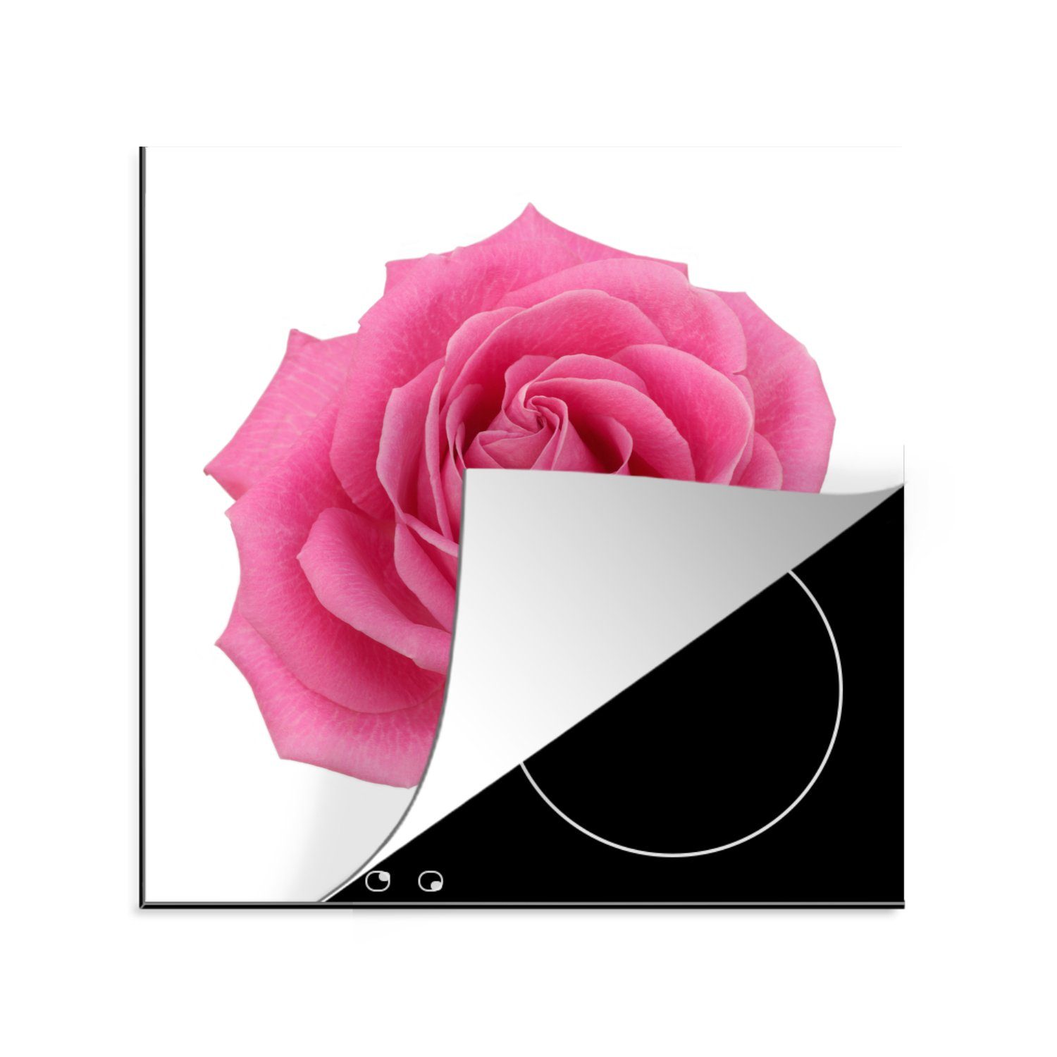 MuchoWow Herdblende-/Abdeckplatte Nahaufnahme einer einzelnen rosa Rose auf weißem Hintergrund, Vinyl, (1 tlg), 78x78 cm, Ceranfeldabdeckung, Arbeitsplatte für küche