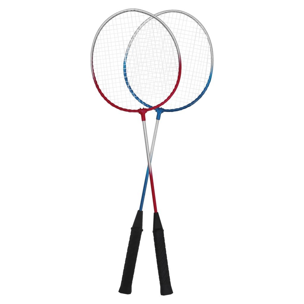 vidaXL Badmintonschläger Badminton-Set mit 4 Schlägern und Netz 620x151 cm