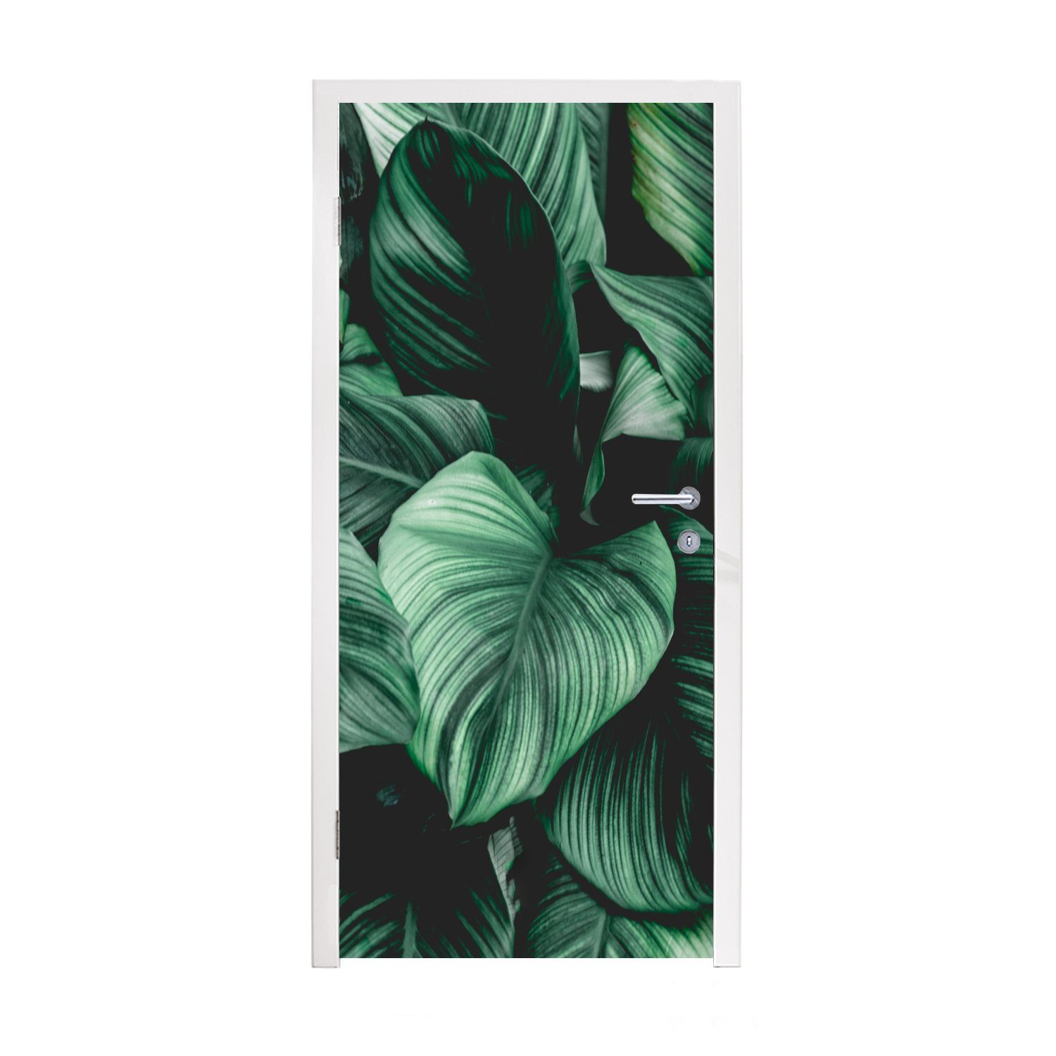 MuchoWow Türtapete Dschungel - Blätter - Tropisch - Pflanzen - Natur, Matt, bedruckt, (1 St), Fototapete für Tür, Türaufkleber, 75x205 cm