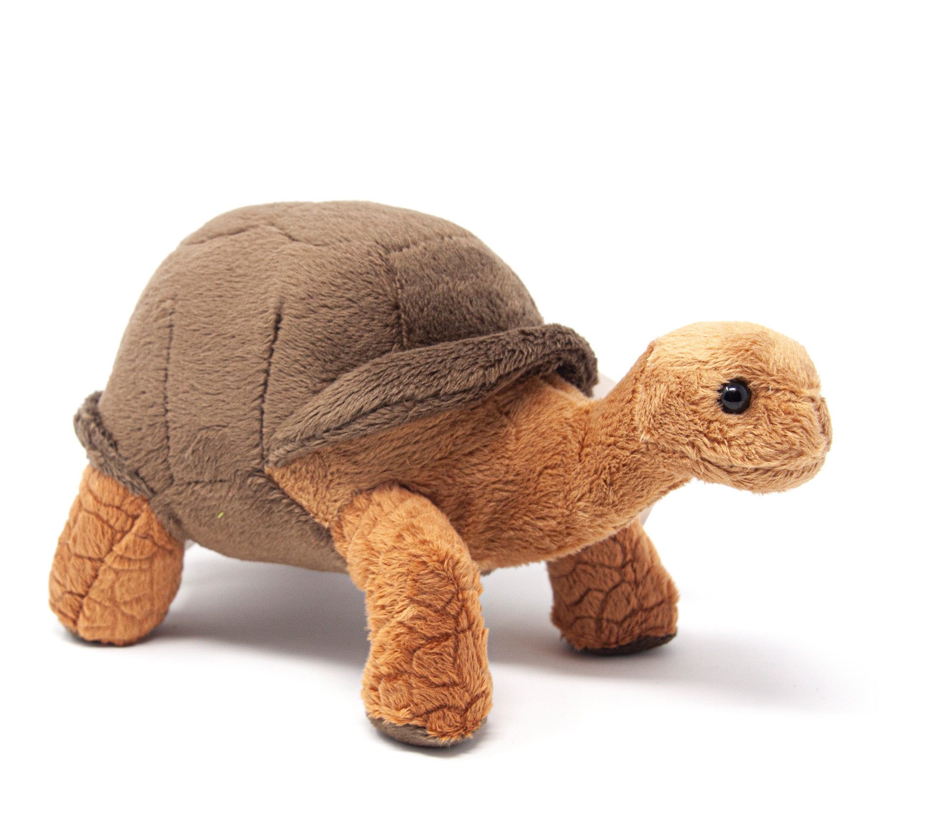 Kuscheltier Cornelissen - Kuscheltier - Landschildkröte braun - 20 cm
