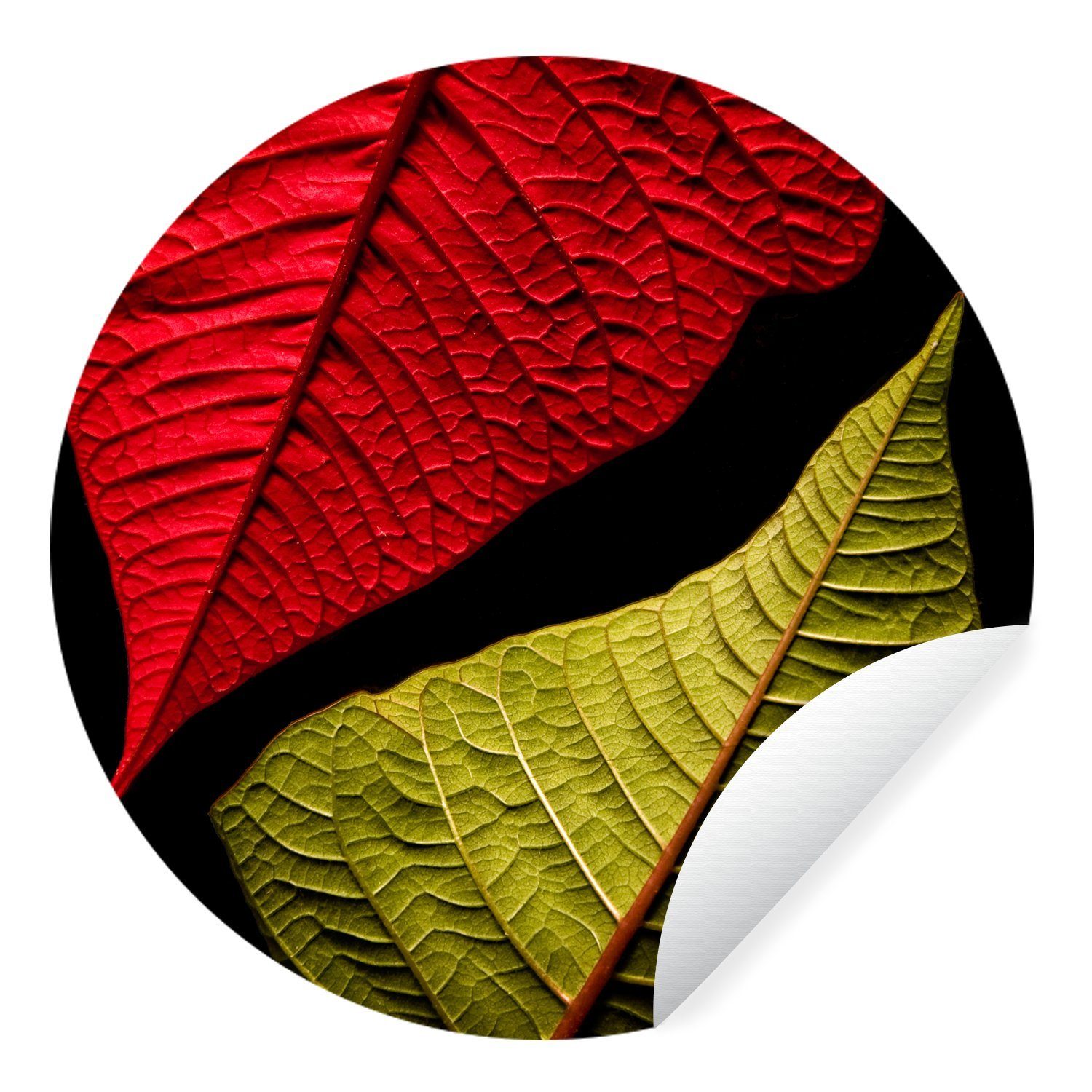 MuchoWow Wandsticker Rote und grüne Blätter auf schwarzem Hintergrund (1 St), Tapetenkreis für Kinderzimmer, Tapetenaufkleber, Rund, Wohnzimmer