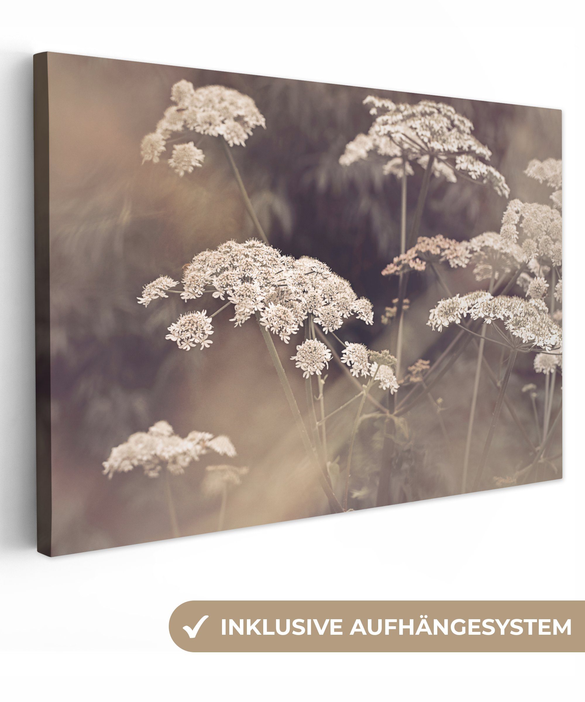 OneMillionCanvasses® Leinwandbild Pflanze - Weiß - günstig online kaufen