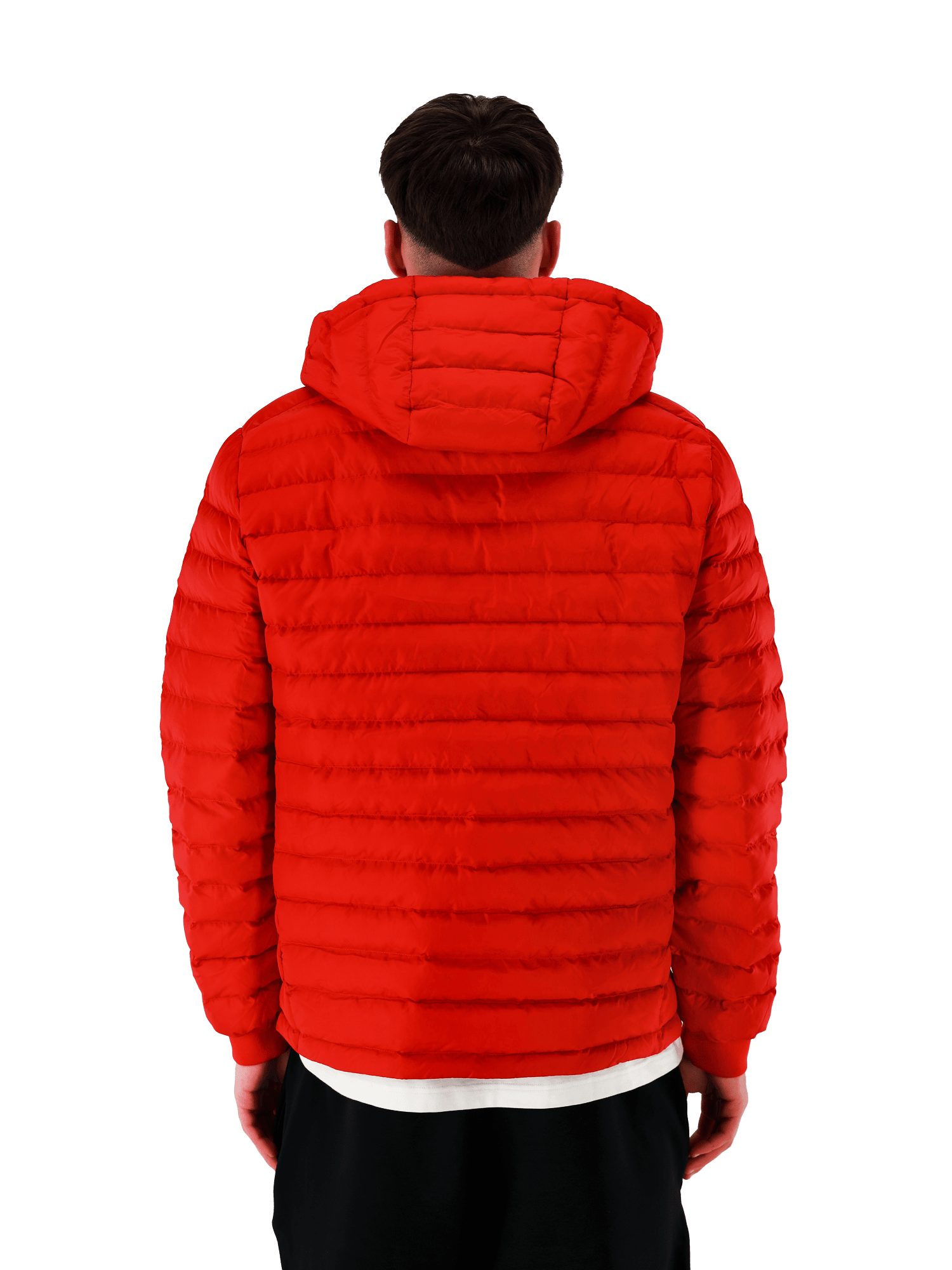 FC Bayern München Windbreaker FC Bayern günstig online kaufen