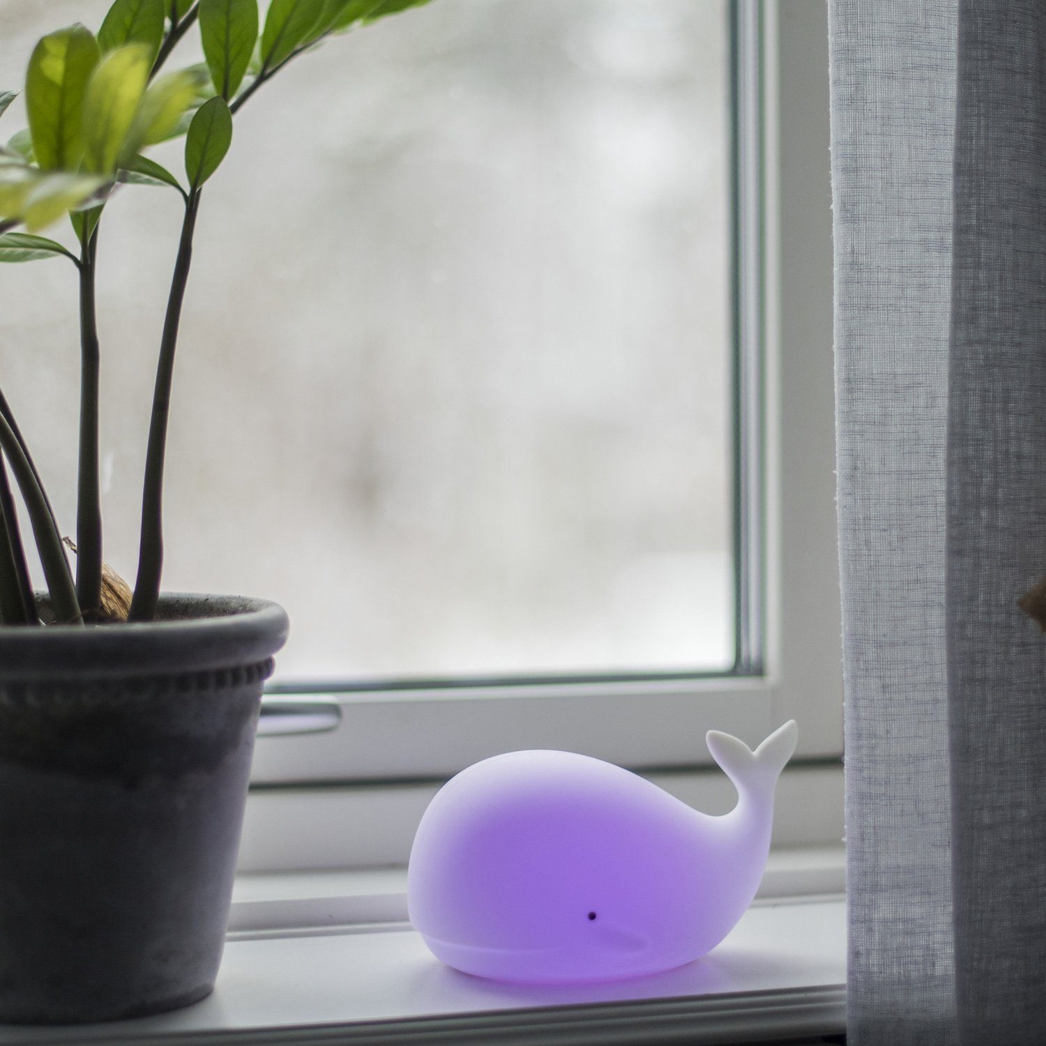 HOLLYHOPPER LED Nachtlicht LED Nachtlicht Wal NOAH Einschlaflicht leuchtender Wall Farbwechsel, LED Classic, mehrfarbig / bunt