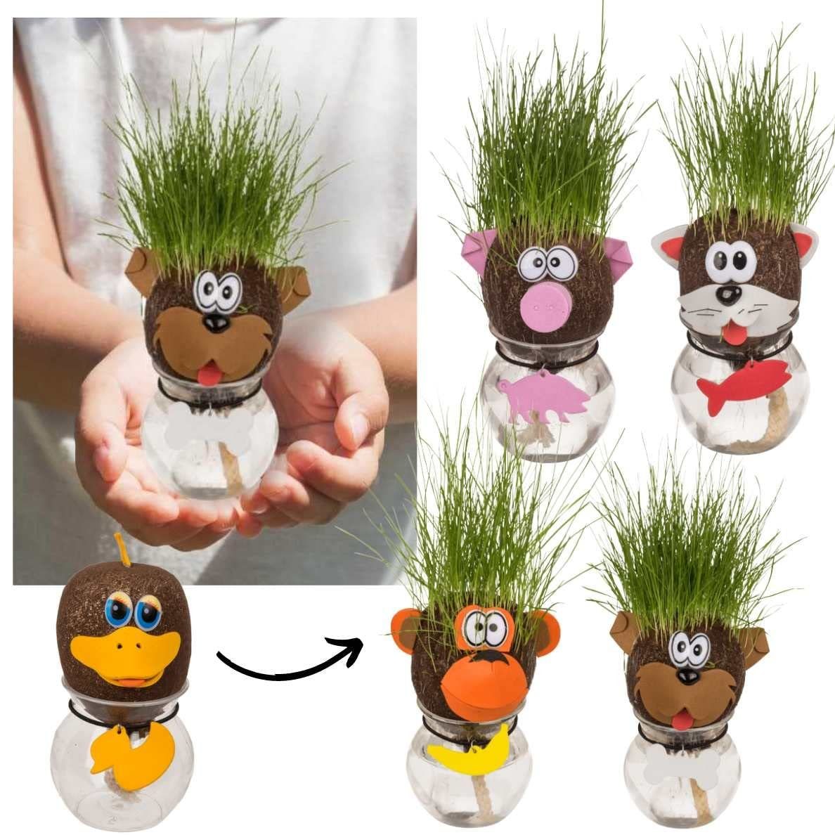 Bada Bing Glasblume Tier Graskopf in kleiner Vase Rasenkopf (5 St), Rasensamen. € 16,99, (€ 16,99 pro 1 Stk).