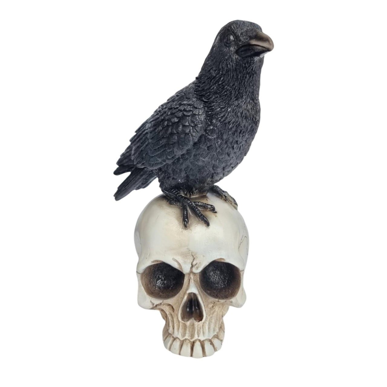 Figurendiscounter Gartenfigur Dekofigur Rabe auf Totenkopf 20 x 13,5 cm