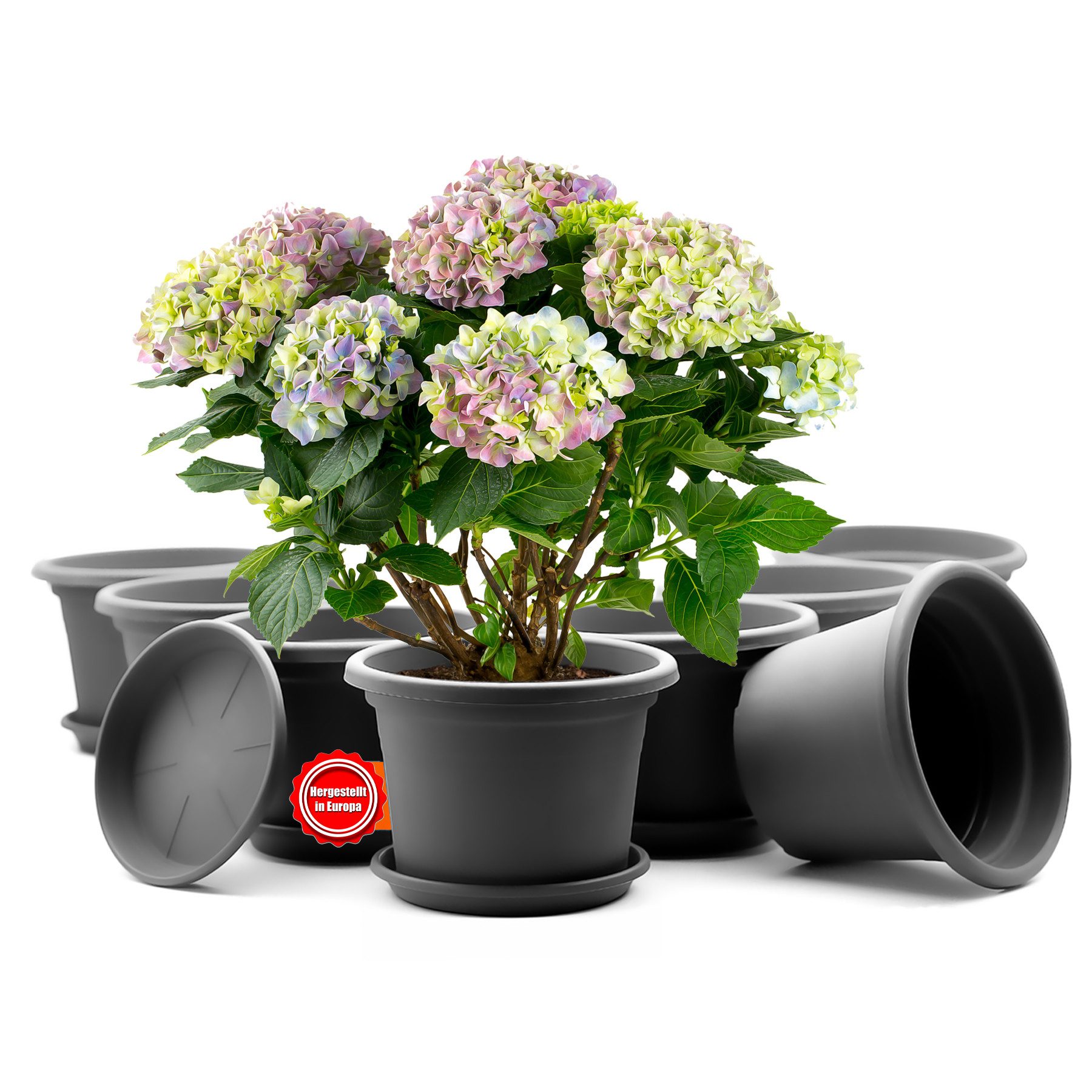 BigDean Blumentopf 8 Stück Pflanzkübel mit Untersetzer rund ø 20 cm Anthrazit (Set, 8 St., Pflanztopf), Zeitloses Design, Mit Untersetzer, Hochwertiges Material, Wetterfest