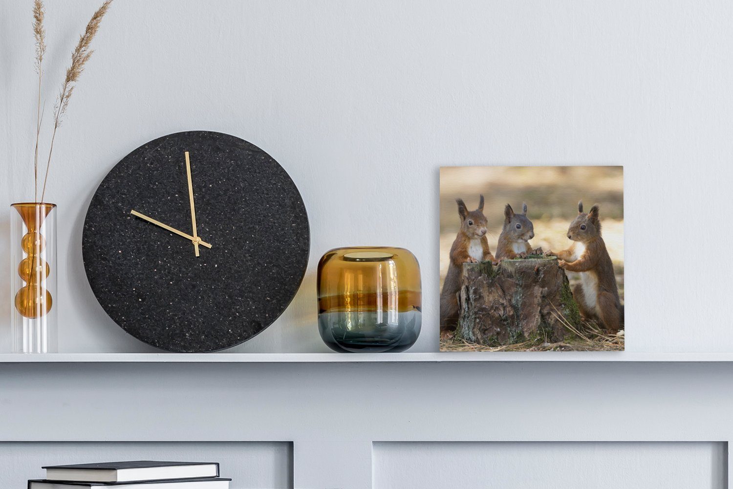 OneMillionCanvasses® Leinwandbild Drei Eichhörnchen um abgehackten günstig online kaufen