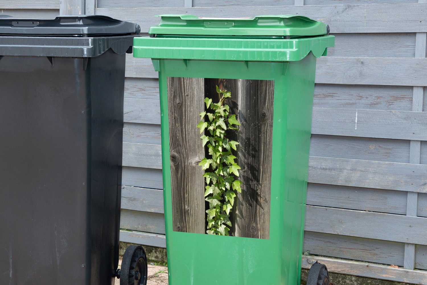 Eine Holzzaun MuchoWow Mülltonne, (1 Sticker, St), Container, Hedera auf hellgrüne Mülleimer-aufkleber, Wandsticker Abfalbehälter einem