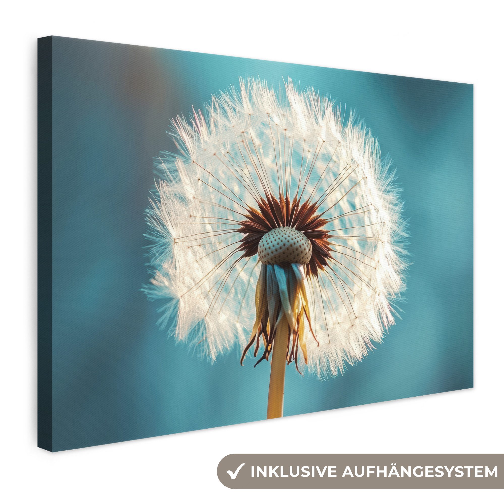 OneMillionCanvasses® Leinwandbild Löwenzahn - Natur - Blumen - Blau, Fotodruck (1 St), Leinwand Bilder Klein, Wand Dekoration Aesthetic 30x20 cm
