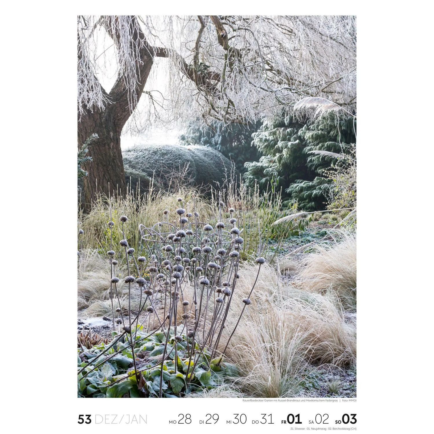 Ackermann Wandkalender Garten Wochenkalender 2027