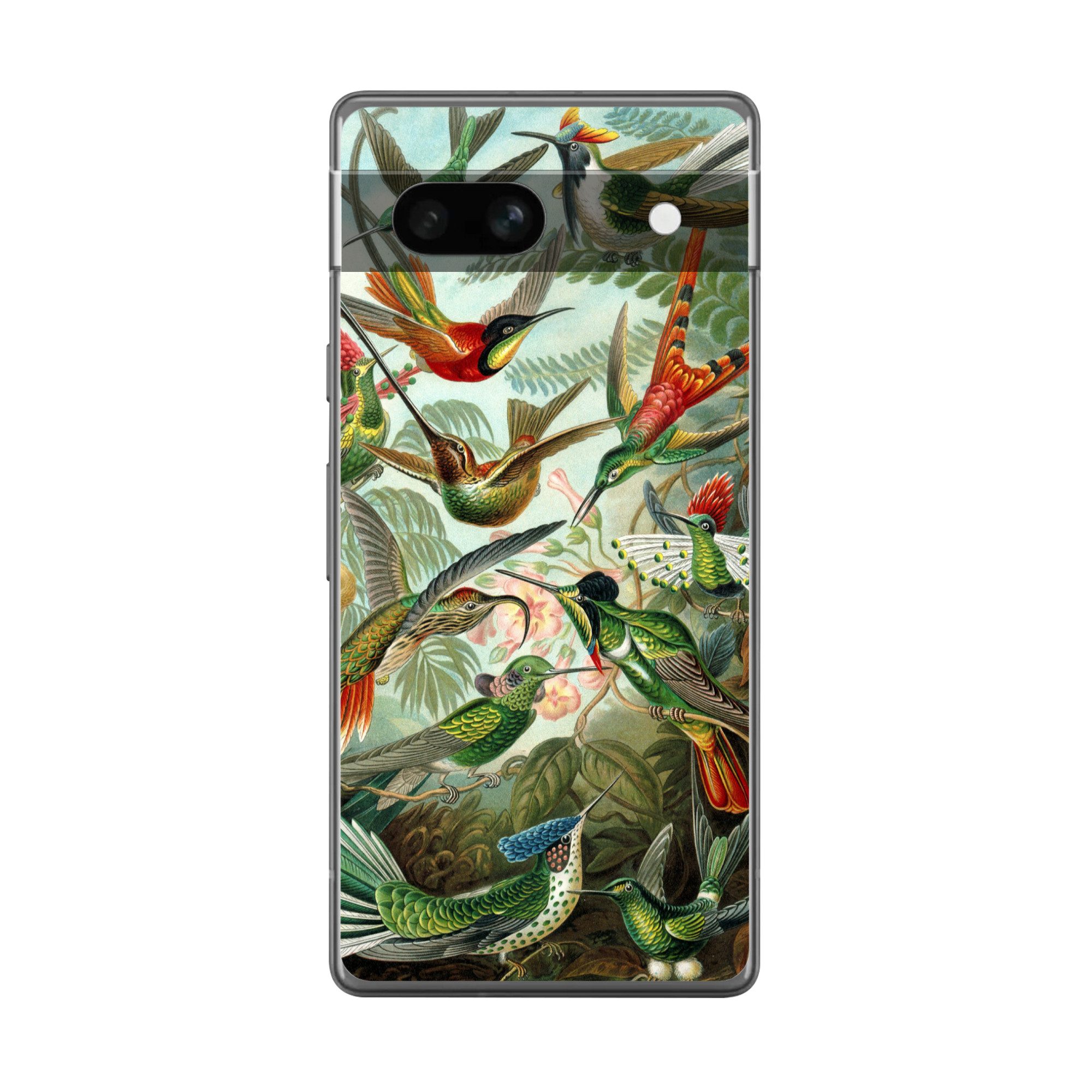 MuchoWow Handyhülle für Google Pixel 7a Trochilidae - Alte Meister - Kunst, Handy Case, Silikon, Bumper Case Dünn