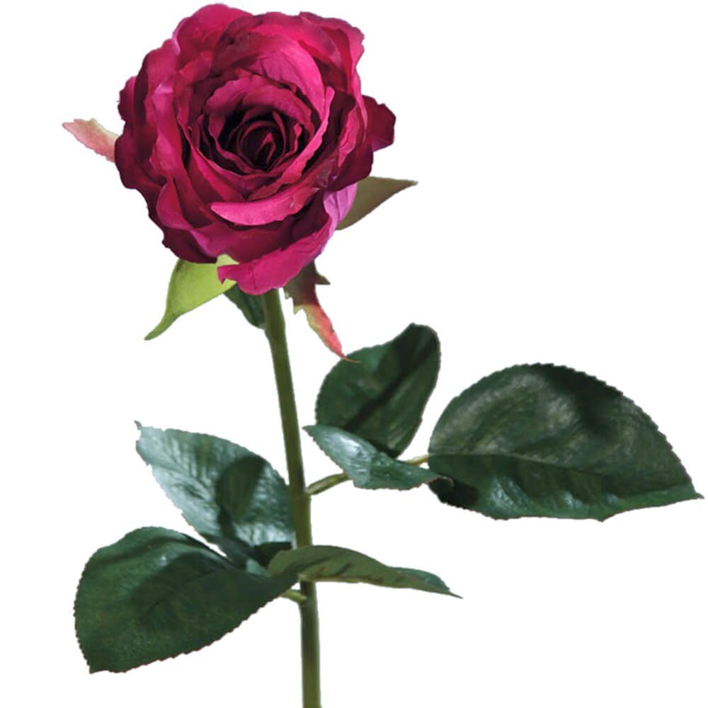 HOME Rosen, 51 pink cm Stielrose HOBBY, 51 Höhe 1 Kunstblume cm, matches21 Equador & Stk Kunstpflanze Rose Indoor
