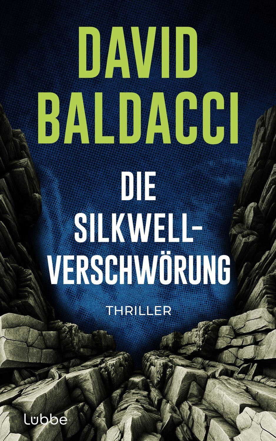 Die Silkwell-Verschwörung / David Baldacci